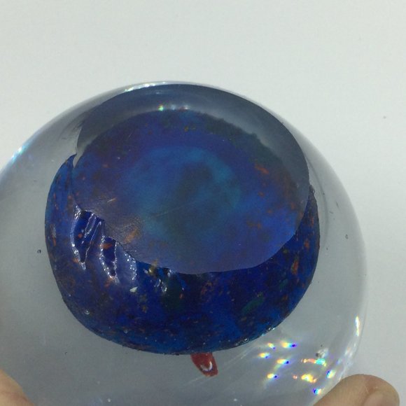 Blown Glass Paperweight Tropical Fish - Picture 4 of 6